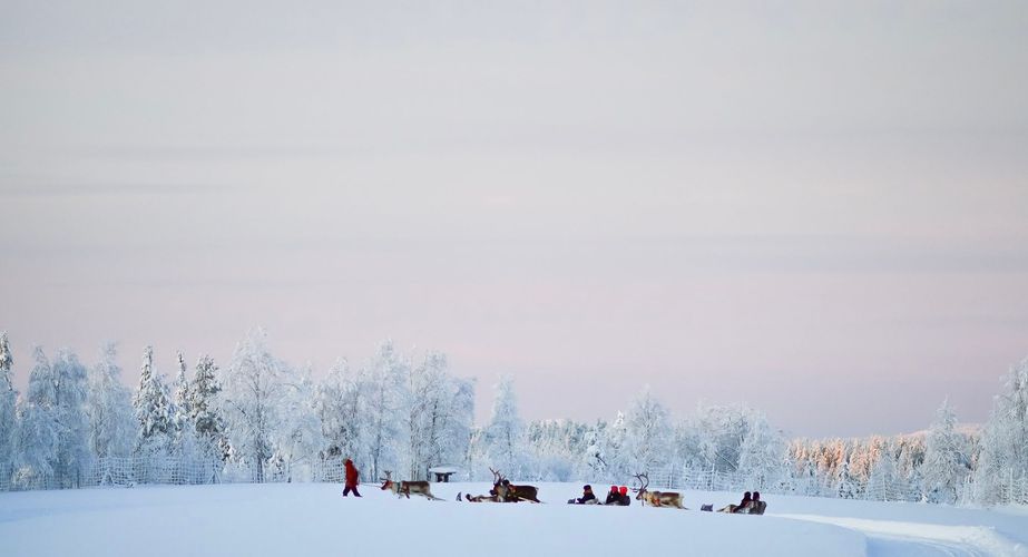 Bezoek aan rendierboerderij